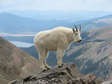 5 Easiest 14ers in Colorado!